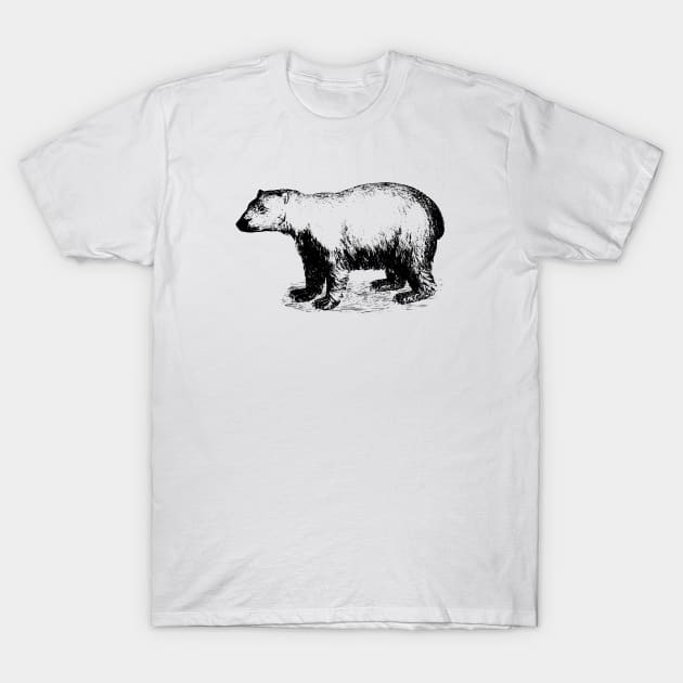 Polar Bear T-Shirt by scdesigns